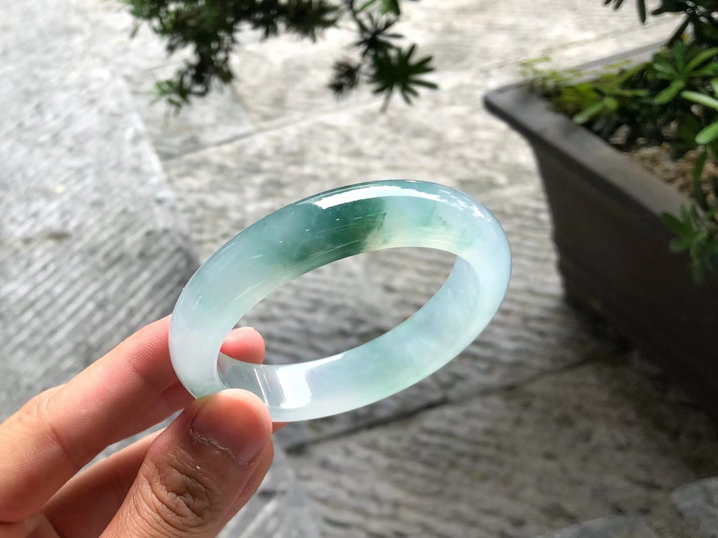 國(guó)翠世家